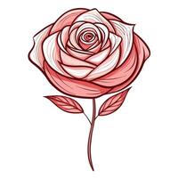 Rose with thread weave pattern and delicate lines illustration floral art vector
