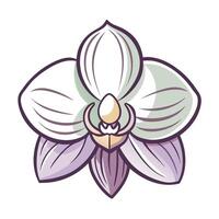 Elegant orchid with ultra thin transparency illustration delicate floral art vector