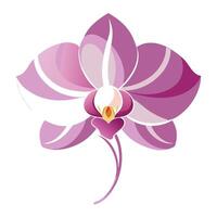 Abstract wave petal orchid with elegant flowing lines in a illustration vector