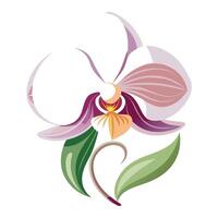 Unique wave petal orchid highlighting its smooth flowing lines in graphic vector