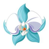 Abstract waves of petals orchid with beautiful undulating shapes in art vector