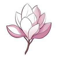 Abstract whisper petal magnolia with an airy transparency in illustration vector