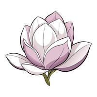 Elegant whisper petal magnolia featuring its gentle transparent aesthetic in design vector
