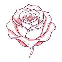 Abstract wisp line rose with delicate fading strokes in illustration vector