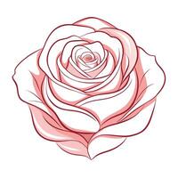 Modern wisp line rose showcasing its subtle fading lines in art vector