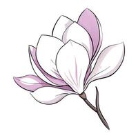 Modern whisper petal magnolia showcasing its delicate transparent design in art vector