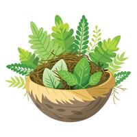 Bird's Nest Planter Soft Moss And Ferns A Natural Design vector