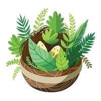 Soft Moss And Ferns Bird's Nest Planter A Natural Design vector