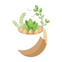 Eggshell Planter With Tiny Succulents Growing Inside vector