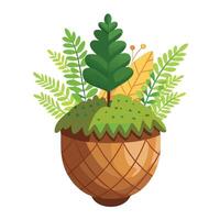 Charming Giant Acorn Planter With Tiny Ferns Inside vector