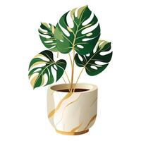 Stylish Gold-Trimmed Marble Planter Featuring Monstera vector