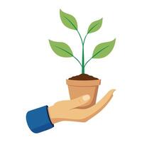 Hand Holding A Small Planter With New Leaves Sprouting vector
