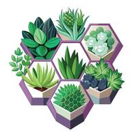 Stylish Hexagonal Wall Planter With An Array Of Succulents vector