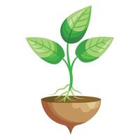 Charming Floating Plant Roots In An Invisible Pot vector