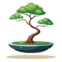 Miniature Bonsai In A Floating Magnetic Pot vector