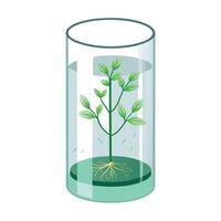 Charming Glass Cylinder Planter Featuring Hydroponic Growth vector