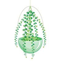 Unique Modern Display With String Of Pearls In Glass vector