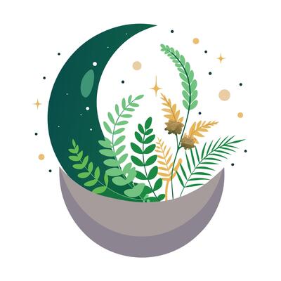 Creative Moon Planter With Ferns Floating Inside
