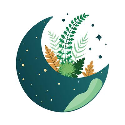 Moon-Shaped Planter With Floating Ferns