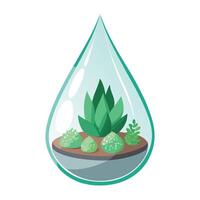 Teardrop Shaped Glass Planter With Floating Succulents vector