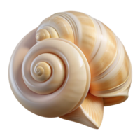 timeless geometric Ultra-detailed, photorealistic, isolated cutout of a single, perfect spiral seashell, white and cream colored with Transparent Background museum quality png
