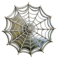 impressive artistic A Spider Web Covered in Dew Intricate and high resolution png