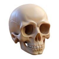 striking whimsical vintage Hyper-specific, professional render of a single, human skull with realistic bone texture, isolated cutout with Transparent Background 8K png