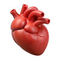beautiful bohemian Hyper-specific, professional render of a single, human heart, anatomically correct, isolated cutout with Transparent Background perfect clarity png