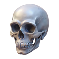 harmonious elegant A hand drawn sketch of a human skull with Transparent Background high quality png
