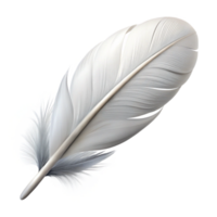 sumptuous quintessential Photorealistic, isolated cutout of a single, feather, white, downy with Transparent Background png