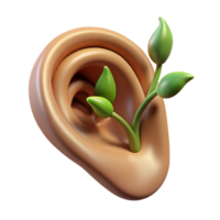 wonderful memorable Isolated cutout of a photorealistic, hyper-specific, disembodied ear with a growing vine emerging from the ear canal with Transparent Background png