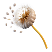 beautiful rustic A Single Dandelion Seedhead with Seeds high resolution png