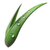 extraordinary rustic A Single Blade of Grass Dew Drops genuine png