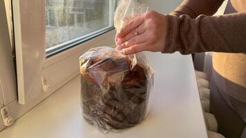 Filmed with vertical movement on the panettone. stands out on the table, an Italian specialty of pastry. The Christmas decorations embellish the table, you can glimpse a glass ready to toast. video