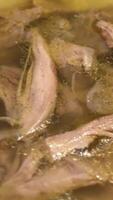 gelatinoso carne preparado frango aspic dentro a branco tigela, topo Visão enquanto elevar dentro a colher video