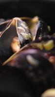 saucepan with mussels with cream sauce and tasty bread with garlic and spices on table of restaurant video