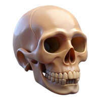 enchanting celebrated Professional render, isolated cutout of a hyper-specific, decaying apple with a miniature human skeleton visible inside with Transparent Background png