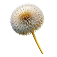exemplary classic Professional render, photorealistic, isolated cutout of a single, perfectly formed dandelion seedhead, ready to disperse with Transparent Background masterfully captured png