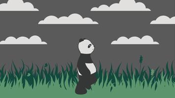Looping animation of Walking panda cartoon with grass and cloud background video