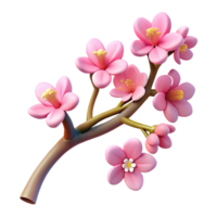 distinguished coastal Tree branch with cherry blossoms with Transparent Background Branch and blossoms are considered a single entity high resolution png