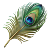 elegant dramatic art deco Ultra-detailed, photorealistic render of a single feather, peacock feather, isolated cutout with Transparent Background high resolution png
