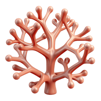 beautiful rustic A Network of Branching Fractal Patterns authentic png