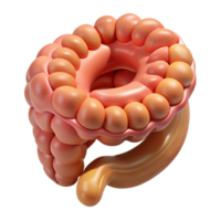 distinctive victorian Hyper-specific, photorealistic render of a biomechanical intestine segment with enhanced digestion capabilities, isolated cutout with Transparent Background ultra HD png