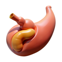 alluring tranquil victorian Hyper-specific, photorealistic render of a biomechanical gallbladder with optimized bile release, isolated cutout with Transparent Background flawless png