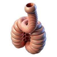 captivating organic Hyper-specific, photorealistic render of a biomechanical artificial trachea, isolated cutout with Transparent Background studio quality png