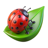 beautiful acclaimed Red ladybug on a small green leaf with Transparent Background png