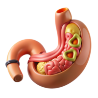 celebrated nordic Isolated cutout, concept art style biomechanical stomach with digestive enzymes and nutrient absorption system Ultra-detailed with Transparent Background gallery standard png