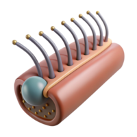 alluring exceptional Photorealistic, ultra-detailed render of a single biomechanical hair follicle with integrated nano-sensors, isolated cutout with Transparent Background png
