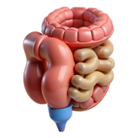 elegant coveted Hyper-specific, concept art style, isolated cutout of a biomechanical intestine with integrated nutrient absorption system with Transparent Background png