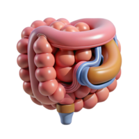 ethereal striking Hyper-specific, concept art style, isolated cutout of a biomechanical intestine with integrated nutrient absorption system with Transparent Background museum quality png